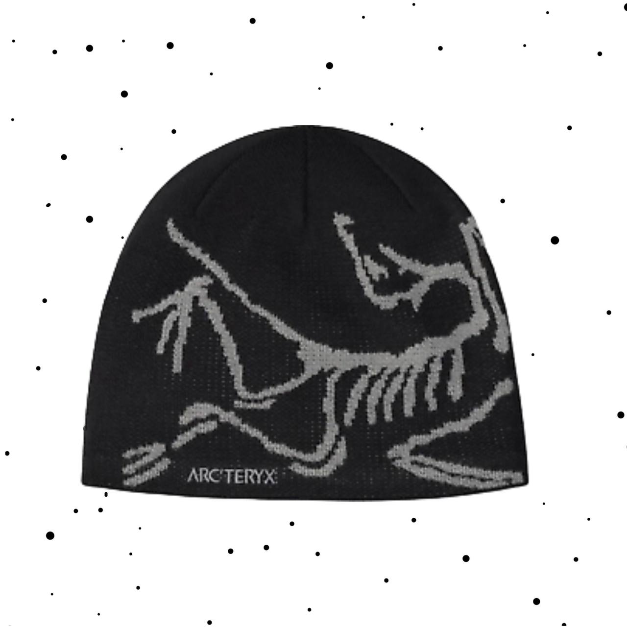 Arctryx Beanie - Vendor